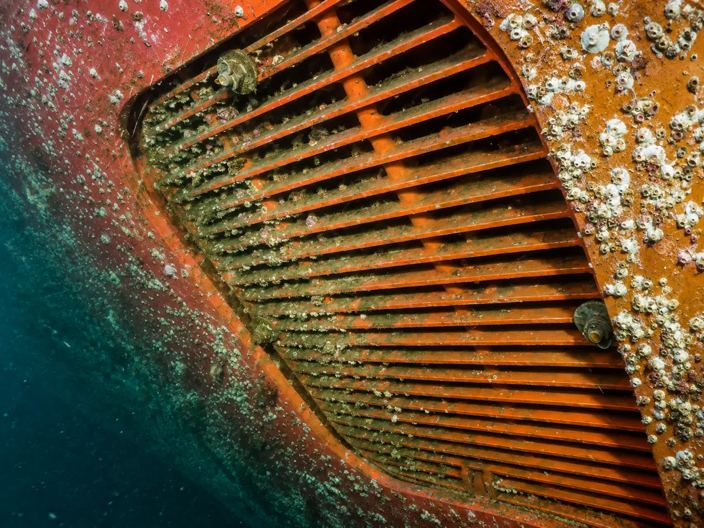 Sea Chests